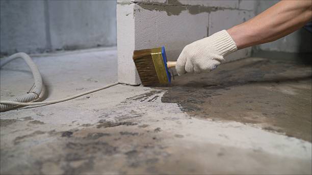 24/7 Emergency Wet Basement Repair experts in Westland, MI